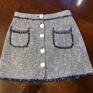 Brand new Zara a-line skirt with details